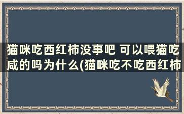 猫咪吃西红柿没事吧 可以喂猫吃咸的吗为什么(猫咪吃不吃西红柿)